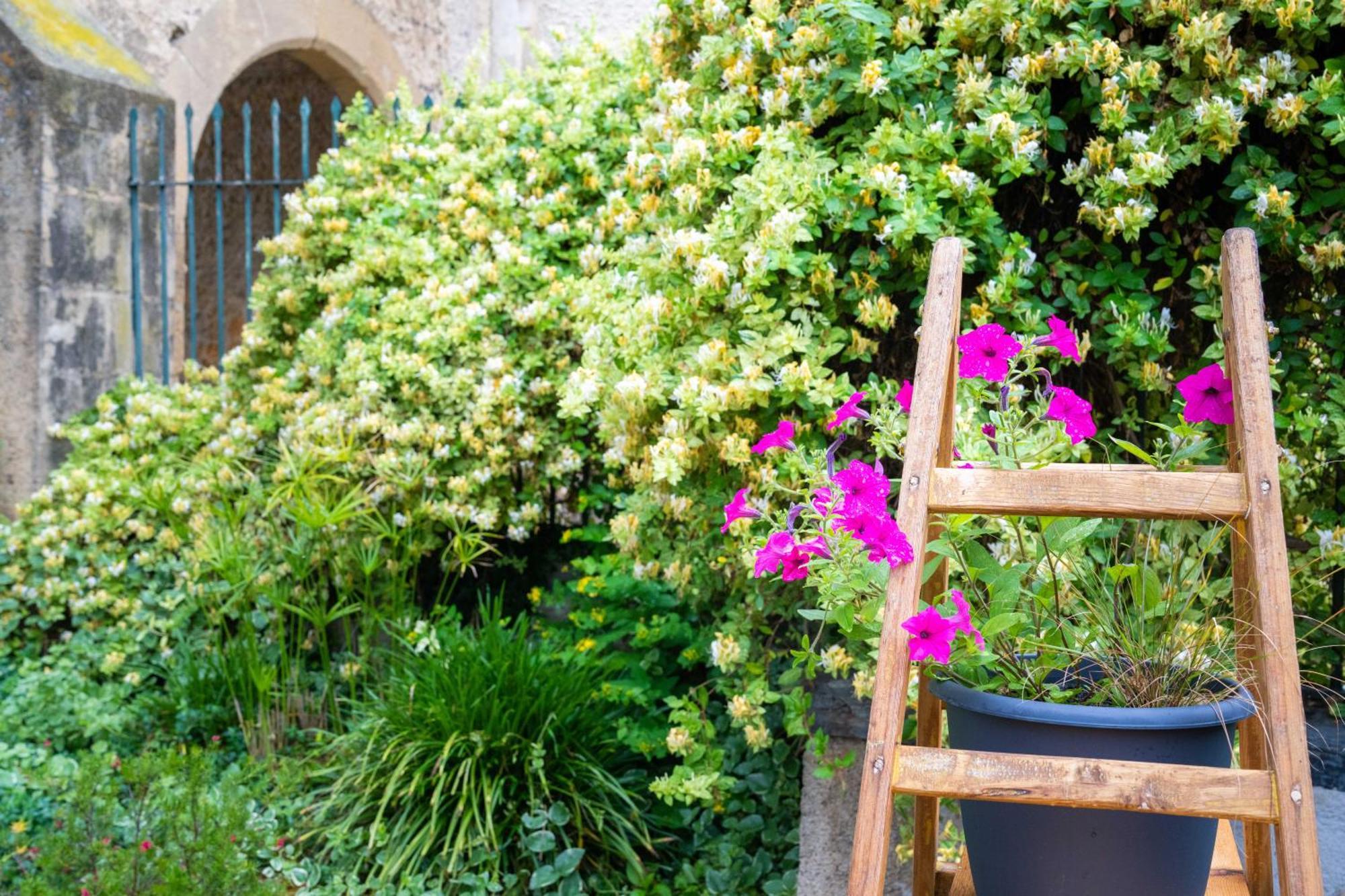 Hotel Le Loft Trie-sur-Baise ภายนอก รูปภาพ